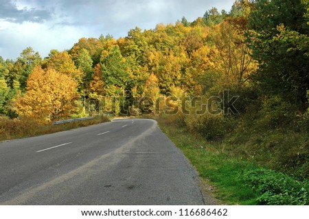 Colorful autumn in mountain, Colorful trees.