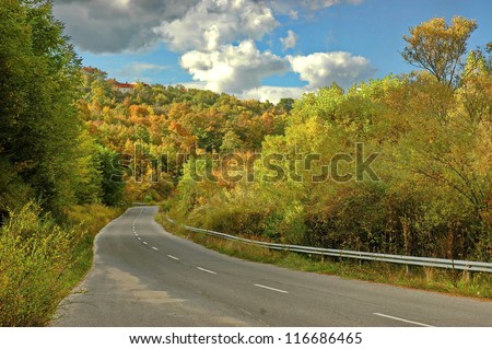 Colorful autumn landscape in mountain. Colorful trees.
