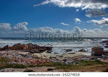 Atlantic ocean coastline by Cape of good hope. Cape cormorant. Wave splash of rocks.