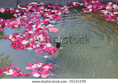 Small fountain with rose petals floating in the water