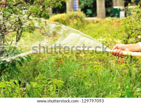 Gardener with watering hose and sprayer water on the plants
