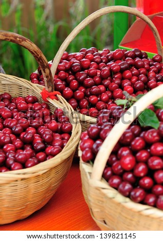 baskets with fresh red cherry