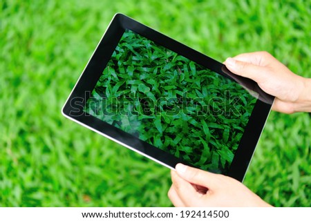 hands hold digital tablet taking photo of nice green grass