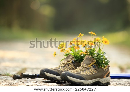 flowers and hiking boots on trail