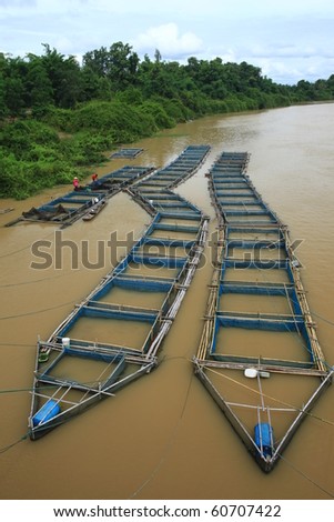  Fish Farming on Cage Fish Farming Stock Photo 60707422   Shutterstock