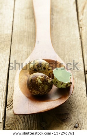 quail eggs in a wooden spoon on the table