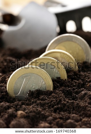 Euro coins grow from the ground - the concept of profit and business development