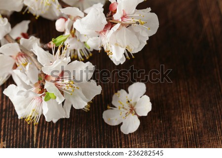 Spring blossom (oriental cherry, apple tree) on wooden table