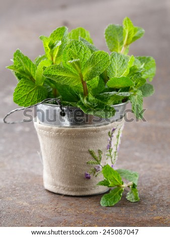bunch of fresh green fragrant mint on a wooden table