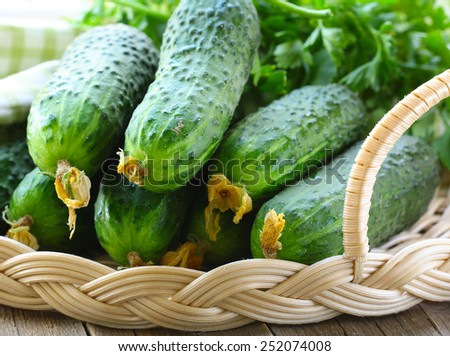 fresh ripe green organic cucumbers on a wooden table