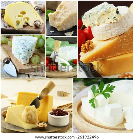 collage of various types of cheese (brie, parmesan, cheddar, blue)