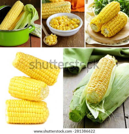 collage of organic fresh and canned corn