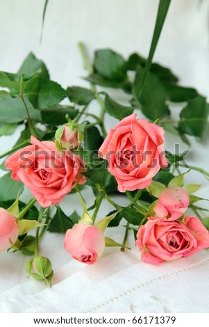 bouquet of pink mini roses