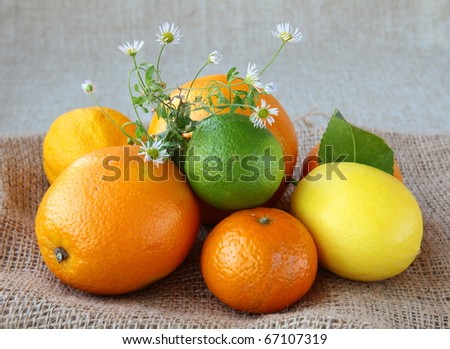 Citrus mix  orange, tangerine, lemon, lime