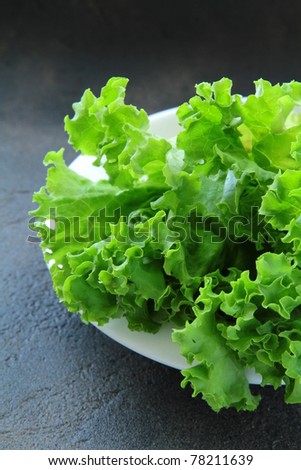 fresh lettuce on a plate on a black background