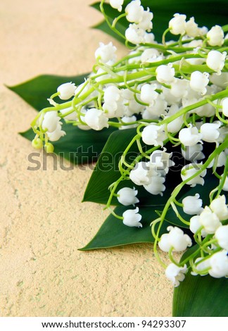 lovely bunch of lily of the valley on a stone background