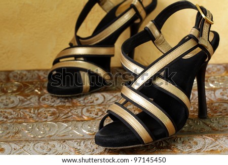 Fashion stylish  women\'s shoes at the glamorous  background