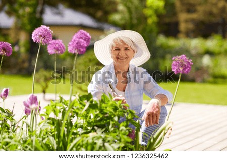gardening and people concept - happy senior woman with pruner taking care of flowers at summer garden