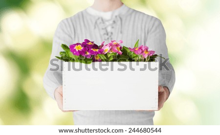 gardening, holidays and people concept - close up of man holding big pot with flowers over green background