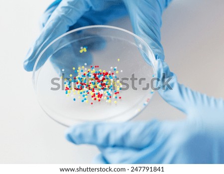 science, chemistry, biology, medicine and people concept - close up of scientist or doctor hands holding petri dish with chemical capsules chemical in laboratory