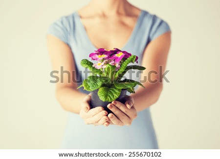 close up of woman\'s hands holding flower in pot