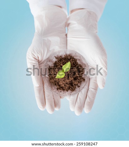 science, biology, ecology, research and people concept - close up of scientist hands holding petri dish with plant and soil sample over blue background