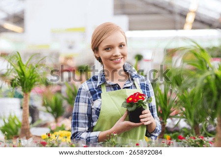 people, gardening and profession concept - happy woman or gardener holding flowers in greenhouse