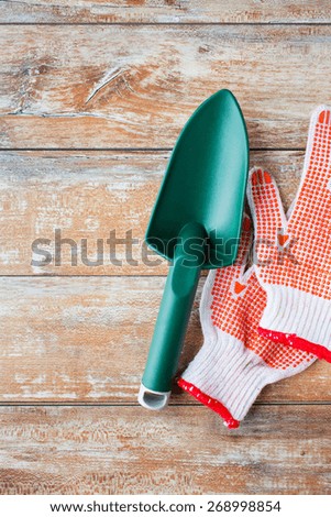 gardening and planting concept - close up of trowel and garden gloves on table