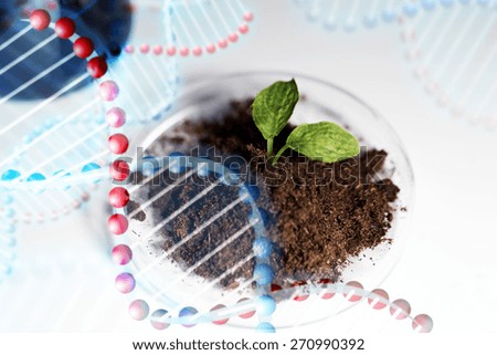 science, biology, ecology, research and green future - concept - close up of petri dish with plant and soil in bio laboratory over dna molecule structure