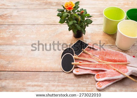 gardening and planting concept - close up of rose flower and garden tools on table at home