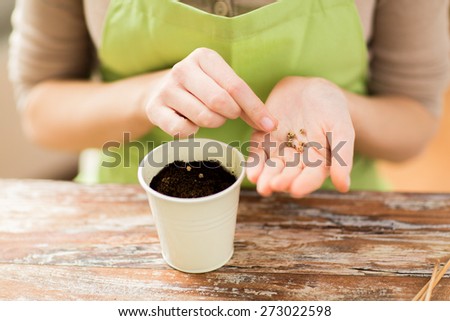 people, gardening, seeding and profession concept - close up of woman hands with paper bag and trowel sowing seeds to soil in pot
