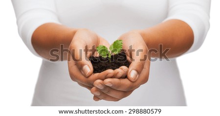 fertility and nature concept - closeup of woman hands holding plant in soil