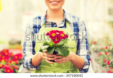 people, gardening and profession concept - close up of happy woman or gardener holding flowers at greenhouse or shop