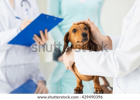 medicine, pet care and people concept - close up of dachshund dog and veterinarian doctor with clipboard taking notes at vet clinic