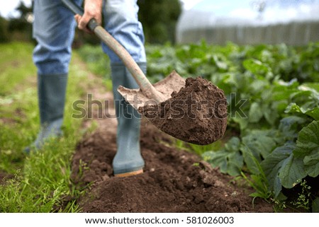 farming, gardening, agriculture and people concept - man with shovel digging garden bed or farm