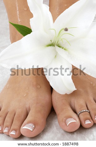 wet feet and madonna lily