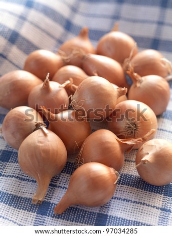 small red onions on a traditional squared cloth