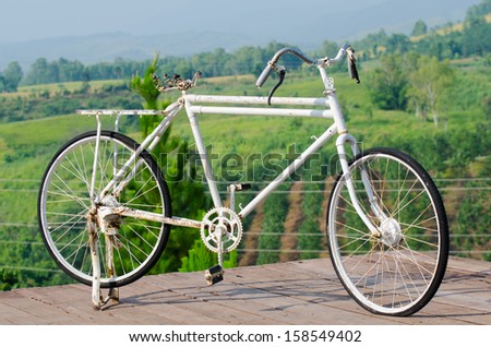 Old bicycle park with green background