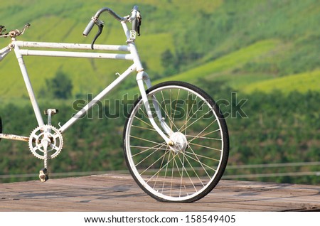 Old bicycle park with green background