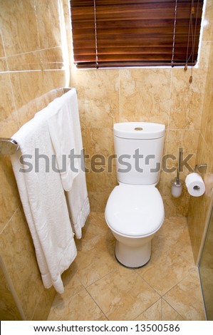 bathroom setting with toilet and towels
