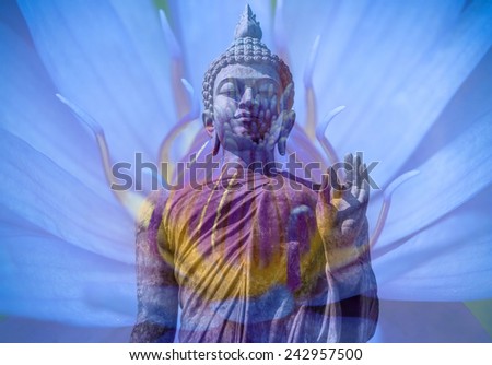 buddha with purple lotus transparent background