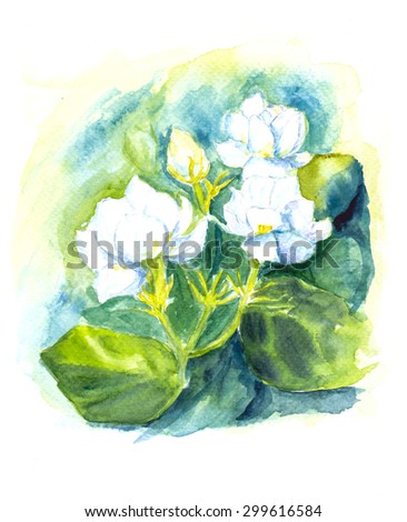 jasmine flower of water color painting art