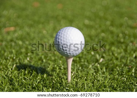 White Golf Ball on Tee