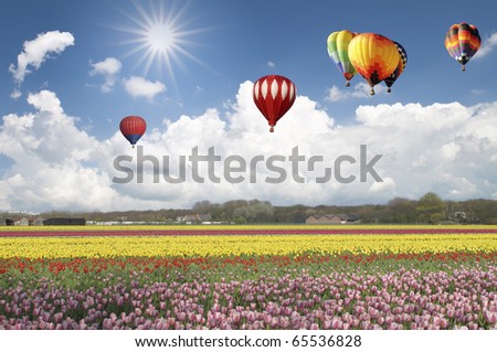 Balloon Tulip