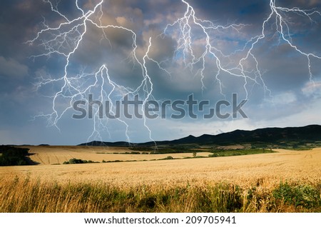 thunderstorm with lightning in wheat land