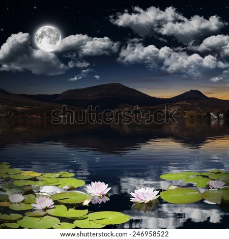 Water lily in the night.  Elements of this image furnished by NASA.