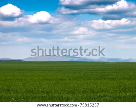 [Treino Privado] Ukito Lee Stock-photo-green-field-background-75815257