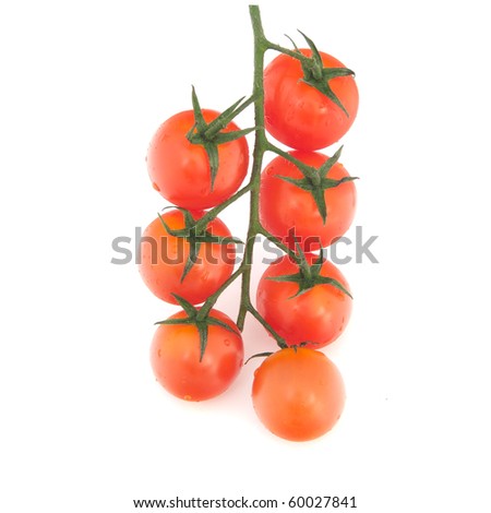 tomato branch