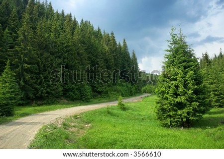 Road in summer pin tree forest with storm clouds