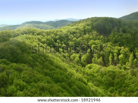 Beautiful summer view of hills and forest seen from above